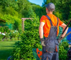 gardener garden landscaping Stock Photo 11