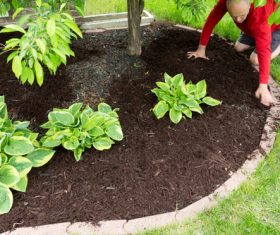 gardener garden landscaping Stock Photo 12