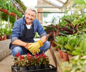 gardener garden landscaping Stock Photo 13