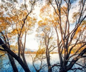 Autumn scenery of Queenstown New Zealand Stock Photo 10