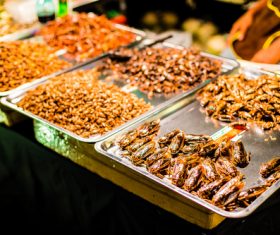 Bangkok night market snacks in Bangkok Thailand  01