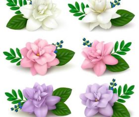 Beautiful colored flower with green leaves vector