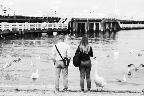 Black and white photography couple Stock Photo 02