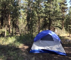 Camping tent Stock Photo 06