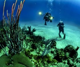 Deep sea diving Stock Photo 05