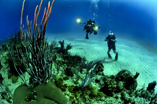 Deep sea diving Stock Photo 05
