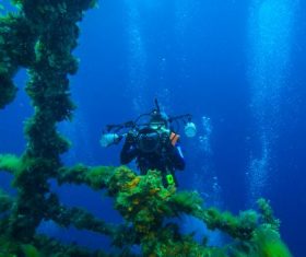 Deep sea diving Stock Photo 06