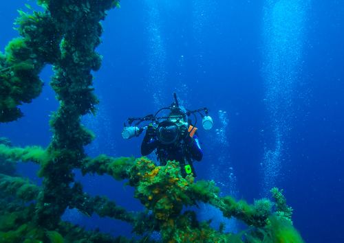 Deep sea diving Stock Photo 06