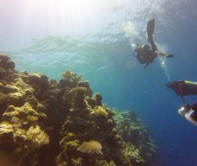 Deep sea diving Stock Photo 07