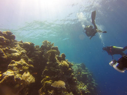 Deep sea diving Stock Photo 07