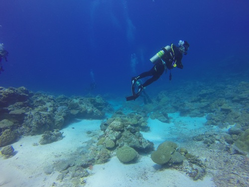 Deep sea diving Stock Photo 09