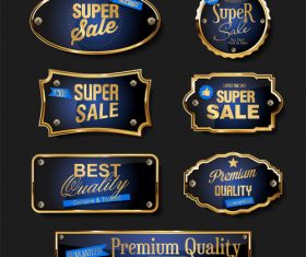 Elegant blue and gold badges and labels design vector set