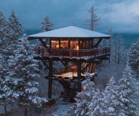 Forest tree house Stock Photo