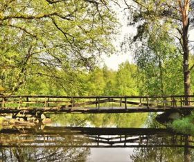 Fresh air outskirts Stock Photo 03