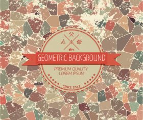 Geometric grunge background design vector 01