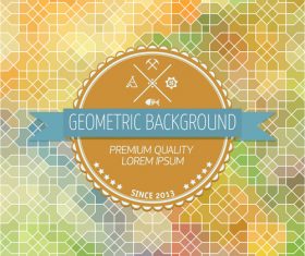 Geometric with colorful background design vector 01