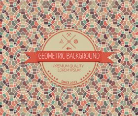 Geometric with colorful background design vector 03