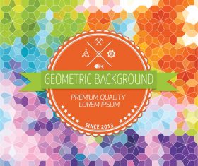Geometric with colorful background design vector 04
