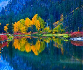 Lake nature landscape mountain forest Stock Photo 04