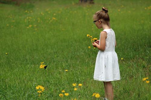 Little girl picking flowers Stock Photo