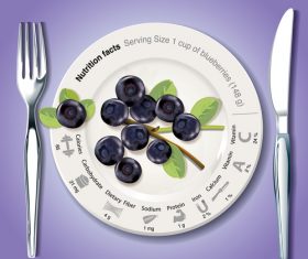 New Nutrition facts in blueberry vector