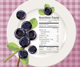 Nutrition facts blueberry vector