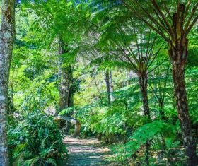 Outdoor park Stock Photo 01