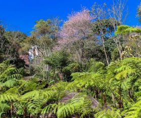 Outdoor park Stock Photo 02