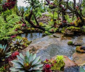 Outdoor park Stock Photo 03