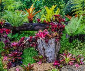 Outdoor park Stock Photo 04