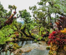 Outdoor park Stock Photo 05