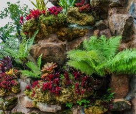 Outdoor park Stock Photo 06