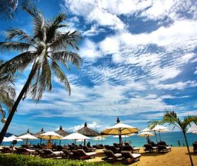 People on vacation by the sea Stock Photo 04