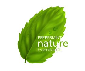 Peppermint essential oil vector background 01