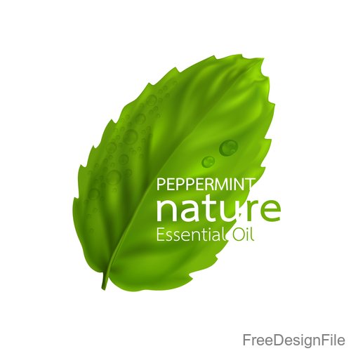 Peppermint essential oil vector background 01
