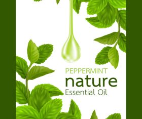 Peppermint natural essential oil cosmetics poster vector