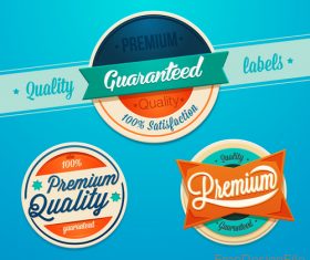 Premium quality labels with badge vector material