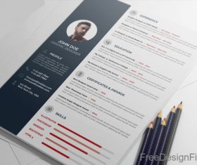 Professional Resume CV PSD Template