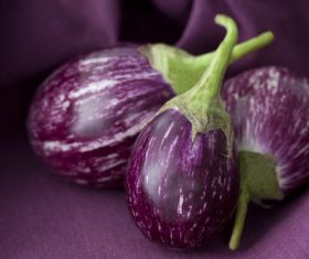 Purple eggplant Stock Photo 01