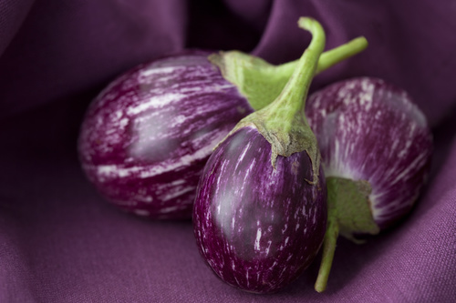 Purple eggplant Stock Photo 01