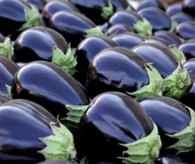 Purple eggplant Stock Photo 02