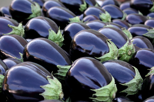 Purple eggplant Stock Photo 02