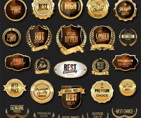 Retro vintage black and gold badges and labels vector 01