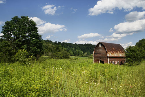Rusty Barn in Field Stock Photo
