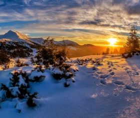 Snow scene at dusk Stock Photo