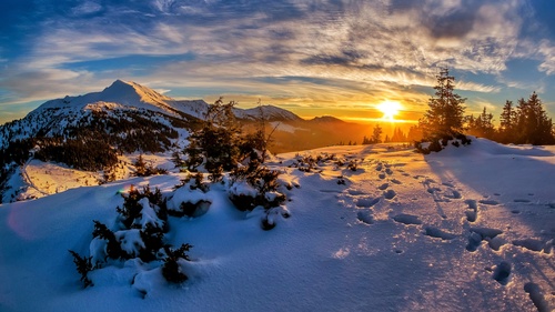 Snow scene at dusk Stock Photo