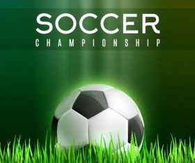 Soccer with grass vector background