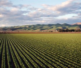 Stock Photo Vibrant green pastoral scenery 01