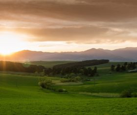 Stock Photo Vibrant green pastoral scenery 02