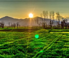 Stock Photo Vibrant green pastoral scenery 03